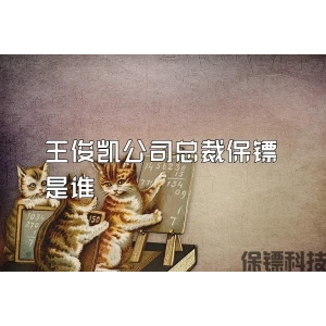 王俊凱公司總裁保鏢是誰