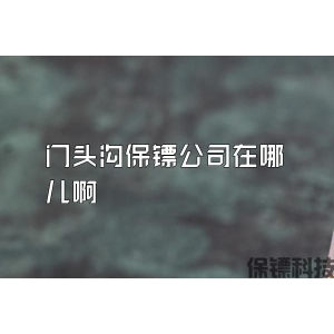 門頭溝保鏢公司在哪兒啊