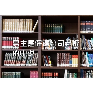 男主是保鏢公司老板的小說