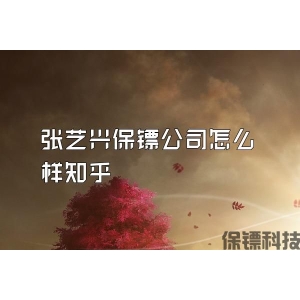 張藝興保鏢公司怎么樣知乎