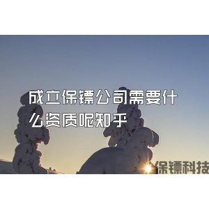 成立保鏢公司需要什么資質(zhì)呢知乎