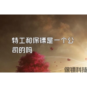 特工和保鏢是一個(gè)公司的嗎