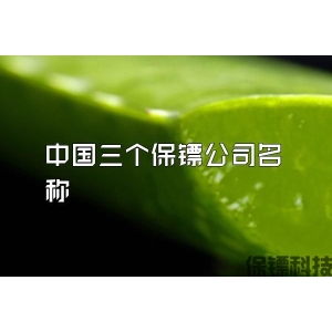 中國三個保鏢公司名稱